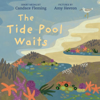 The_Tide_Pool_Waits