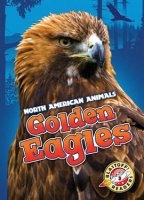 Golden_Eagles