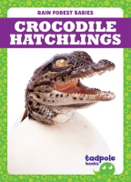 Crocodile_Hatchlings