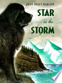 Star_in_the_storm