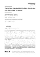 Generation_of_Biohydrogen_by_Anaerobic_Fermentation_of_Organics_Wastes_in_Colombia