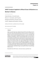 SWOT_Analysis_Applied_to_Wheat_Straw_Utilization_as_a_Biofuel_in_Mexico