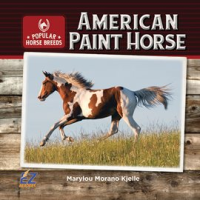 American_Paint_Horse