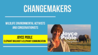 Joyce_Poole__Elephant_Biologist___Elephant_Communication