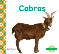 Cabras__Goats_