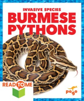 Burmese_Pythons