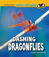 Dashing_Dragonflies