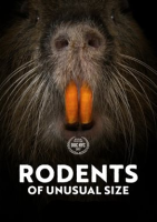 Rodents_of_Unusual_Size