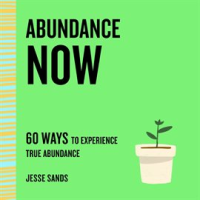 Abundance_Now