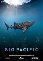 Big_Pacific