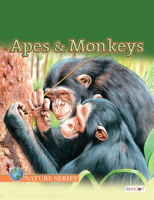 Apes_and_Monkeys