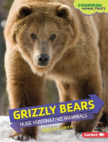 Grizzly_Bears
