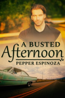 A_Busted_Afternoon