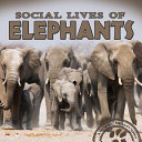 Social_lives_of_elephants