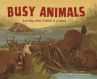 Busy_Animals