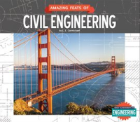 Amazing_Feats_of_Civil_Engineering