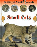 Small_cats