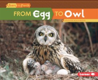 From_Egg_to_Owl