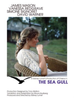 The_Sea_Gull