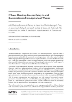 Effluent_Cleaning__Greener_Catalysts_and_Bioecomaterials_from_Agricultural_Wastes