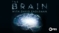 The_Brain_with_David_Eagleman