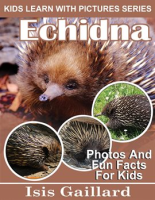 Echidna_Photos_and_Fun_Facts_for_Kids
