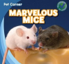 Marvelous_Mice