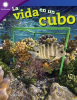 La_vida_en_un_cubo