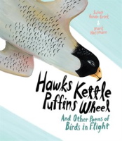Hawks_Kettle__Puffins_Wheel