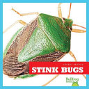 Stink_bugs