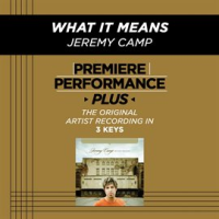 Premiere_Performance_Plus__What_It_Means