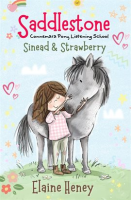 Saddlestone_Connemara_Pony_Listening_School__Sinead_and_Strawberry