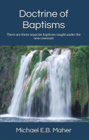 Doctrine_of_Baptisms