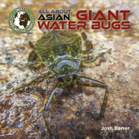 All_About_Asian_Giant_Water_Bugs
