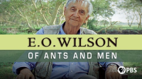 E__O__Wilson__Of_Ants_and_Men