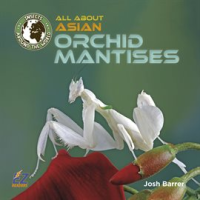 All_About_Asian_Orchid_Mantises