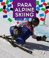 Para_Alpine_Skiing