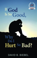 If_God_is_So_Good__Why_Do_I_Hurt_So_Bad_