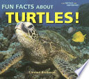 Fun_facts_about_turtles_