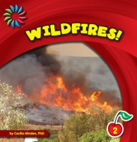 Wildfires_